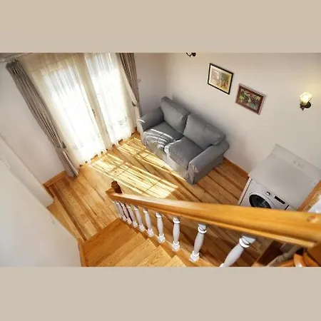 Gubiba Evleri 酒店 阿拉恰特