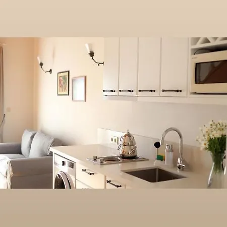 酒店 Gubiba Evleri 阿拉恰特